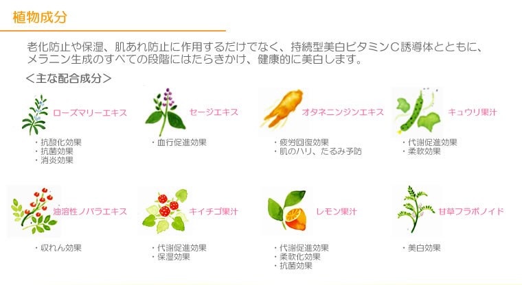 イオナ ヴェール「美白を実感!」お得な4点セット